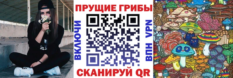 Галлюциногенные грибы мицелий  кракен tor  Лосино-Петровский 